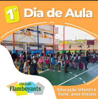 Colegio Flamboyants - Imagem 2