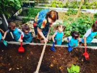 Escola Educação Infantil Mimar - Imagem 3