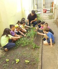 Nosso Ninho Escola De Educacao Infantil - Imagem 1