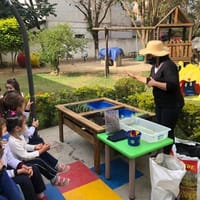 Metamorfose Escola Infantil - Imagem 3
