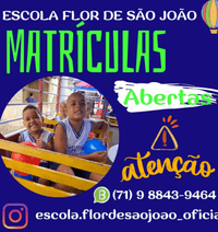 Escola Flor De São João - Imagem 3