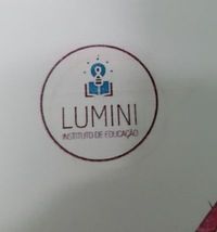 Instei - Instituto De Educação Lumini - Imagem 1