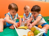 Escola Toca Da Criança - Imagem 3