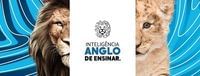 Anglo Pouso Alegre - Imagem 1