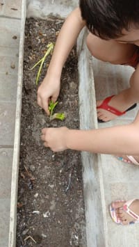 Centro Educacional Crianças Da Amazônia - Imagem 2