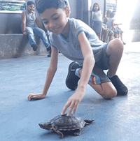 Centro Educacional Príncipe Da Paz Em Belford Roxo - Imagem 2