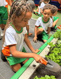 Daltrinho Méier - Rede Daltro Educacional - Imagem 1