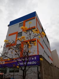 Escola Ponte Viva - Imagem 2