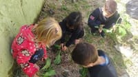 Kairos Kids - Imagem 2