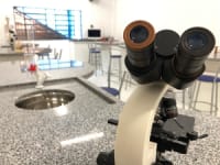 Colégio Dom Felipe - Unidade Ii - Imagem 1