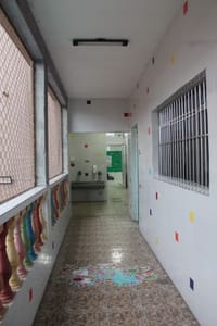 Pequenos Brilhantes - Imagem 3