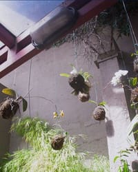 Colégio Ápice Pinheiros - Imagem 3