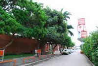 Colegio Helyos - Imagem 3