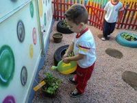 Infância Nobre - Educação Infantil - Imagem 2