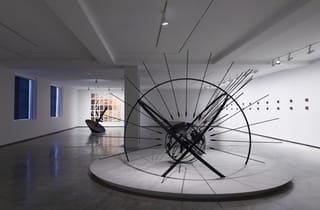 InstitutionaLies (2017) installed at Museum of Contemporary Art, 2025.