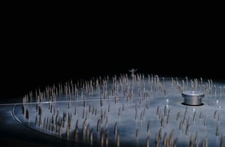 Dirge 2024, Steel, aluminium, electrical motor. Dimensions variable.