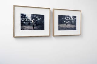 <span class="artist">Bonita Ely</span><span class="title"> Installation view</span><span class="year"> 1982</span>