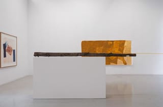 <span class="artist">d harding</span><span class="title"> Installation view</span><span class="year"> 2024</span> <span class="artist">d harding</span><span class="title"> Installation view</span><span class="year"> 2024</span>