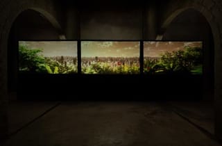 <span class="title"> A Rising Tide</span><span class="year"> 2020-21</span>, <span class="medium">Three-channel synchronised 4K video with sound, infinite loop</span>