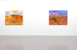 <span class="title"> Wendy Hubert, Ngurra Nyujunggamu (When the World Was Soft), installation view, 2026. Photography by Carl Warner.</span>