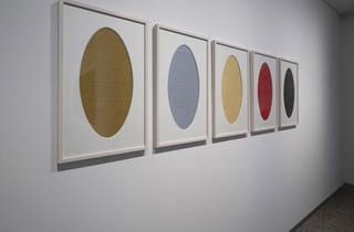 Installation view, Coral Futures, University of the Sunshine Coast Art Museum, 2026. Photograph by Carl Warner.
