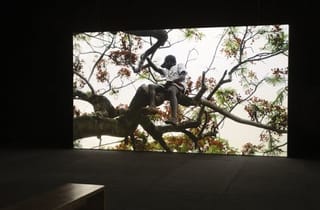 <span class="title"> Behrouz Boochani, Hoda Afshar and Vernon Ah Kee, ‘Code Black/Riot’ 2025 Installation view, Rememory, The Biennale of Sydney, Chau Chak Wing Museum, The University of Sydney Photo: David James</span>