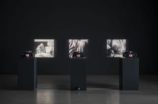 <span class="title"> Hoda Afshar, The Fold, Installation View, La Casa Madrid</span>