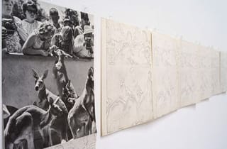 <span class="artist">Ian Burn</span><span class="title"> Systematically Altered Photograph: Kangaroos (detail)</span><span class="year"> 1968</span>, <span class="medium">Black and white photograph (reproduction from ‘Australian Panorama’, Australian News and Information Bureau, c. 1967) and photocopy on paper</span>, <span class="dimen dimen-notes">Original 26.5 x 19.6 cm and 9 copies, each: 27.5 x 21.5 cm</span> <span class="artist">Ian Burn</span><span class="title"> Systematically Altered Photograph: Kangaroos (detail)</span><span class="year"> 1968</span>, <span class="medium">Black and white photograph (reproduction from ‘Australian Panorama’, Australian News and Information Bureau, c. 1967) and photocopy on paper</span>, <span class="dimen dimen-notes">Original 26.5 x 19.6 cm and 9 copies, each: 27.5 x 21.5 cm</span>