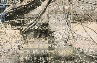 <span class="artist">Imants Tillers</span><span class="title"> Critical Forests 11</span><span class="year"> 2004</span>, <span class="medium">synthetic polymer paint, gouache on 32 canvasboards nos. 115689–115770</span>, <span class="dimen dimen-notes">203.2 x 142.2 cm</span>