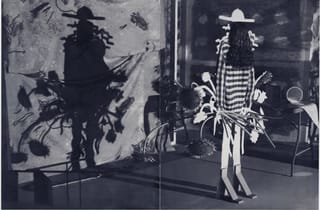 <span class="artist">Jean Barth</span><span class="title"> Adumbral placeholder</span><span class="year"> 2021</span>, <span class="medium">Oil paint screen printed and brushed on dibond</span>, <span class="dimen dimen-notes">Two panels: 117 x 176 cm total</span>