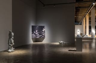 Jean Barth, The Clumped Spirit, 16th Gwangju Biennale Exhibition Hall (Gallery 2), Photo: Jeon Byung Cheol. © Gwangju Biennale.