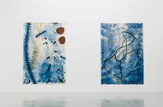 <span class="artist">Judy Watson</span><span class="title"> Installation view of bodies of water and melting snow at Milani Gallery</span><span class="year"> 2019</span>
