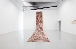 ground piece, 1993, powder pigments and acrylic on canvas, 1037 x 157cm ground piece, 1993, powder pigments and acrylic on canvas, 1037 x 157cm