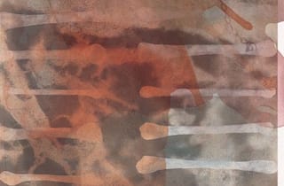 <span class="title"> Judy Watson, bones (detail), 2021</span>