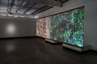   kau-in kau-in blood blood (exhibition view), 2026, Pine Rivers Art Gallery. Image courtesy of City of Moreton Bay. Photographed by Louis Lim.