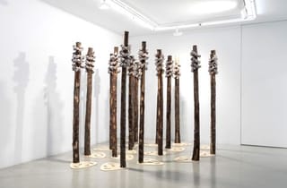 <span class="artist">Megan Cope</span><span class="title"> Whispers</span><span class="year"> 2023</span>, <span class="medium">Repurposed oyster shell waster, Cyprus pine</span>, <span class="dimen dimen-notes">Dimensions variable</span> <span class="artist">Megan Cope</span><span class="title"> Whispers</span><span class="year"> 2023</span>, <span class="medium">Repurposed oyster shell waster, Cyprus pine</span>, <span class="dimen dimen-notes">Dimensions variable</span>