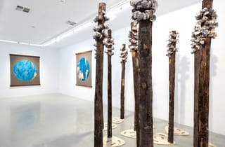 <span class="artist">Megan Cope</span><span class="title"> Installation view</span><span class="year"> 2024</span> <span class="artist">Megan Cope</span><span class="title"> Installation view</span><span class="year"> 2024</span>