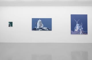 Natalya Hughes, The Future was Femme, installation view, 2025. Photography by Carl Warner. Natalya Hughes, The Future was Femme, installation view, 2025. Photography by Carl Warner.