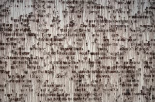<span class="artist">Robert Andrew</span><span class="title"> Reveal</span><span class="year"> 2018</span>, <span class="medium">Aluminium, acrylic, ochre, chalk, water, electromechanical devices</span>, <span class="dimen dimen-notes">Dimensions variable</span>, <span class="notes">Installation view, 'Myall Creek and Beyond', USC Art Gallery. Photo by Carl Warner.</span> <span class="artist">Robert Andrew</span><span class="title"> Reveal</span><span class="year"> 2018</span>, <span class="medium">Aluminium, acrylic, ochre, chalk, water, electromechanical devices</span>, <span class="dimen dimen-notes">Dimensions variable</span>, <span class="notes">Installation view, 'Myall Creek and Beyond', USC Art Gallery. Photo by Carl Warner.</span>