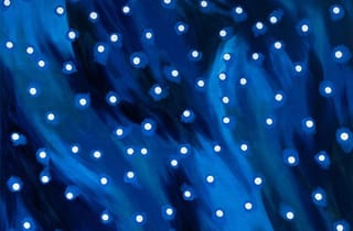 <span class="title"> Blue field (hood) III, 2024</span><span class="year"> 2024</span>, <span class="medium">Oil on polyester</span>, <span class="dimen dimen-notes">187 x 152 cm</span>