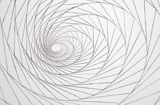 <span class="artist">Sandra Selig</span><span class="title"> cornered web eight</span><span class="year"> 2026</span>, <span class="medium">charcoal mural</span>, <span class="dimen dimen-notes">detail</span> <span class="artist">Sandra Selig</span><span class="title"> cornered web eight</span><span class="year"> 2026</span>, <span class="medium">charcoal mural</span>, <span class="dimen dimen-notes">detail</span>