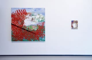 <span class="artist">Vivienne Binns</span><span class="title"> The aftermath and the ikon of fear 1984–85 and Repro vag dens 3 1976.</span>, <span class="notes">Installation view, Vivienne Binns: On and through the Surface, Monash University Museum of Art, Melbourne, 2022. Photo: Andrew Curtis</span>