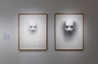 (BE)LONGING (exhibition view), 2026, Redcliffe Art Gallery. Image courtesy of City of Moreton Bay. Photographed by Joe Ruckli.