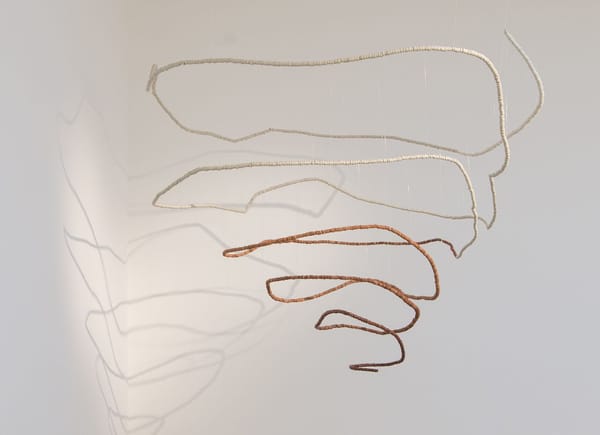 Beroana shell money Beroana shell money