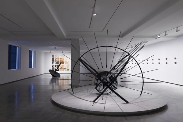 InstitutionaLies (2017) installed at Museum of Contemporary Art, 2025.