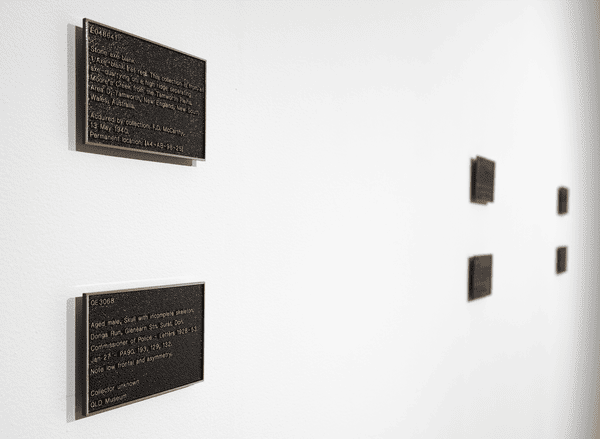 To know and possess, 2021-2024, Bronze caste, 20 parts: 10.1 x 15.2 x 3cm (each)