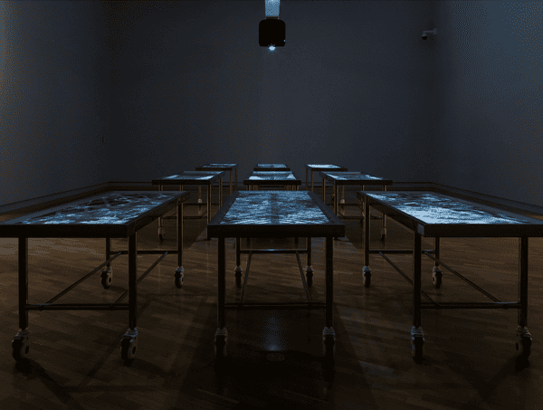 Warraba Weatherall, Kamilaroi people, Mother-Tongue, installation view, 5th National Indigenous Art Triennial: After the Rain, National Gallery of Australia, Kamberri/Canberra, 2025 © Warraba Weatherall, courtesy the artist and Milani Gallery.