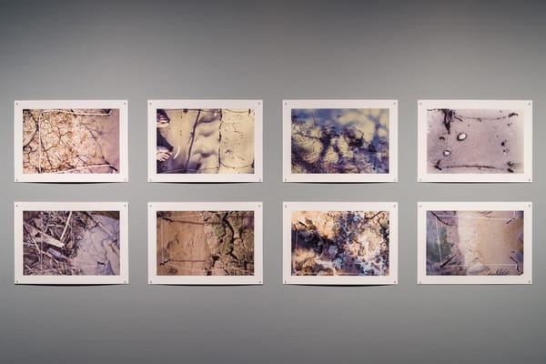 Installation view Installation view