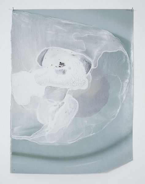 Wastes (studies) # 63 Wastes (studies) # 63
