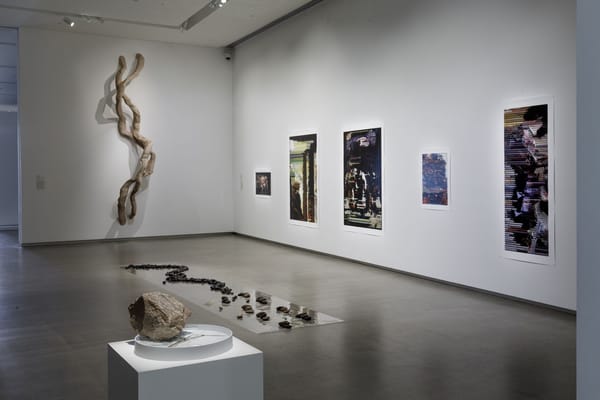 Installation view, TarraWarra Biennial 2021: Slow Moving Waters, TarraWarra Museum of Art.